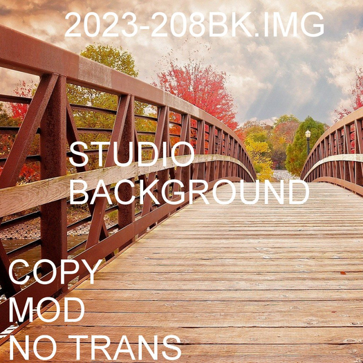2023-208BK