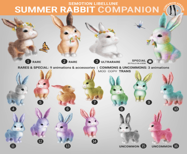 SEmotion Libellune Summer Rabbit Companion COMMON 13