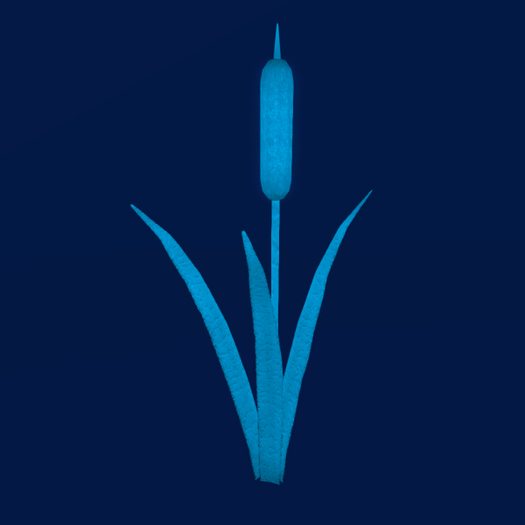 {Papillon} CatTail Tier°1 Small/Dull,〘Sleepy Tail〙 Weeds: 0.0 • [✽♥] (18a)