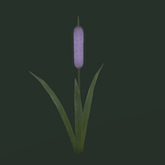 {Papillon} Cat Tail Tier°4 Small/Dull,〘Angry Tail〙 Weeds: 0.0 • [✽♥] (18a)