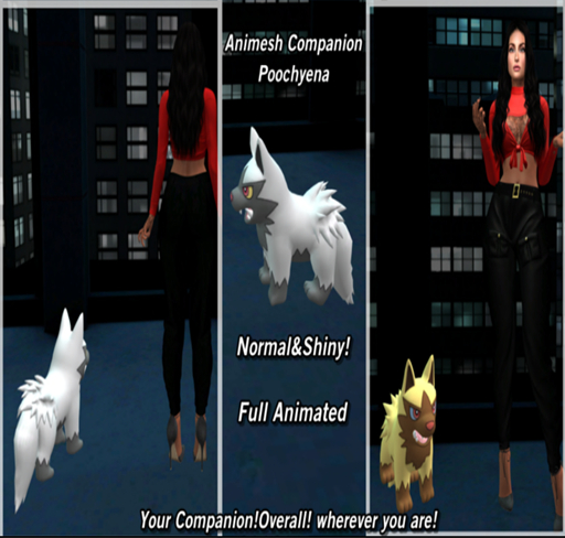::.PokePark.:: Animesh Poochyena Companion (BOXED)