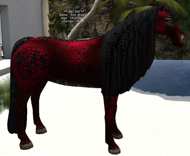 horse