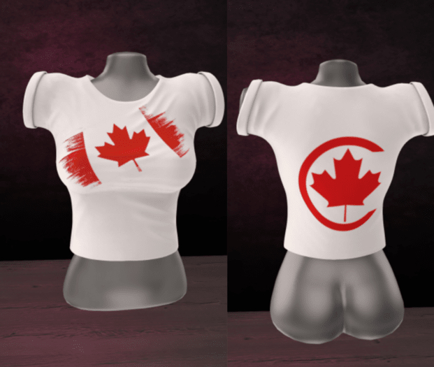 WTFW ~ LADIES CANADA TOP _ UNPACKER