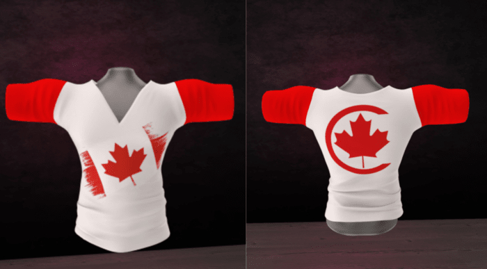 WTFW~  CANADA MENS V NECK