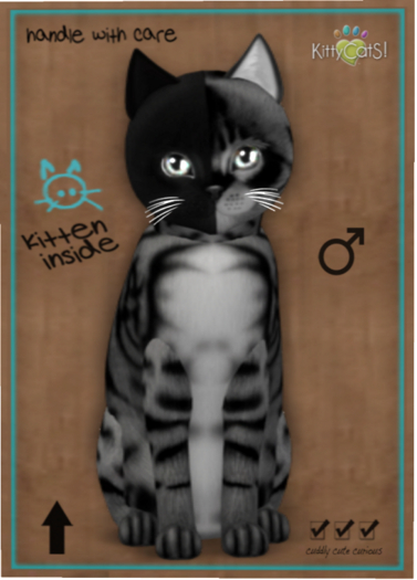 KittyCatS Box - Chimera - Charcoal Mist