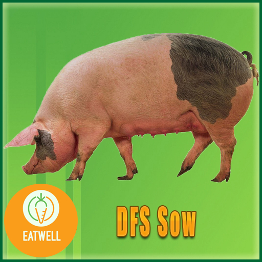 DFS Sow (Actual Item)