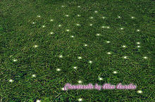 [Since1975]FairytaleGarden-Glitter