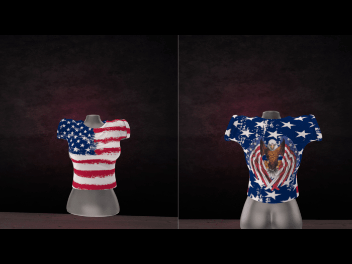WTFW ~ LADIES AMERICA TOP