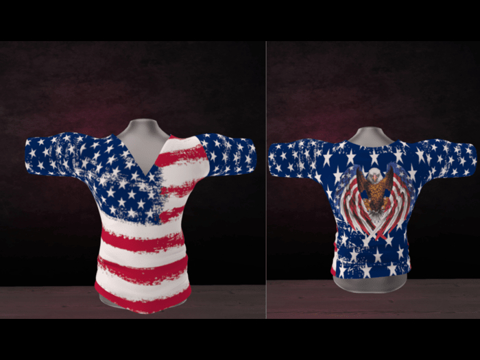 WTFW~  AMERICA MENS V NECK