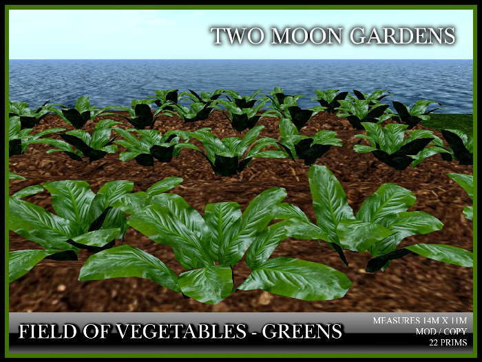 Garden|VegetableField