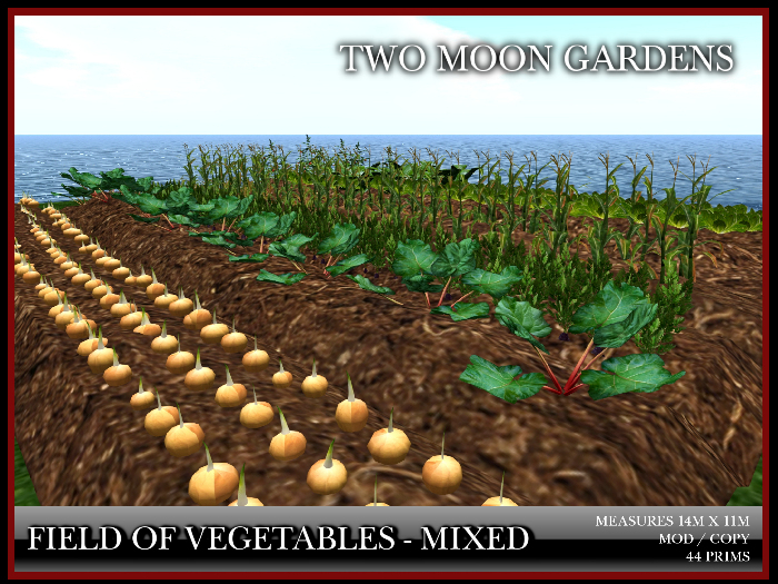 Garden|Fieldofvegetables