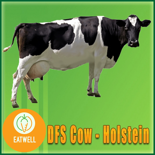 DFS Cow - Holstein (Actual Item)
