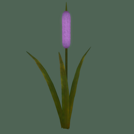 {Papillon} Plant  Cat Tail Tier°2 Small/Dull,〘Crazy Tail〙 Weeds: 0.0 • [✽♠♥] (18a)