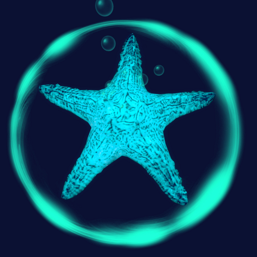 {Papillon} Starfish Tier°1 Tiny/Dull,〘Curious Type-C〙 Barnacles: 0.1 • [✽♥] (18c)
