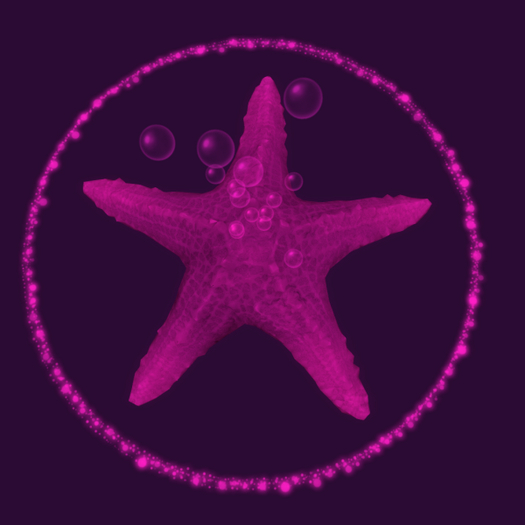 {Papillon} Starfish Tier°1 Tiny/Dull,〘Curious Type-B〙 Barnacles: 0.1 • [✽♥] (18c)