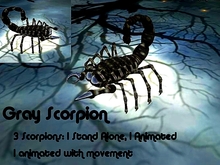 3 Gray Scorpions - 1 Animated & 1 Motion
