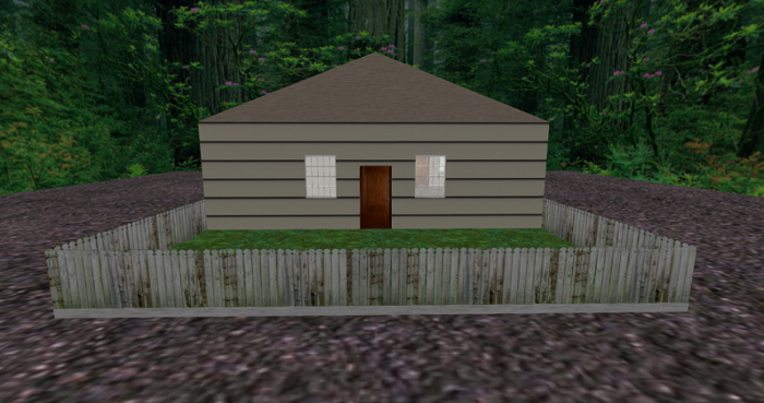 The Tiny House BOXED