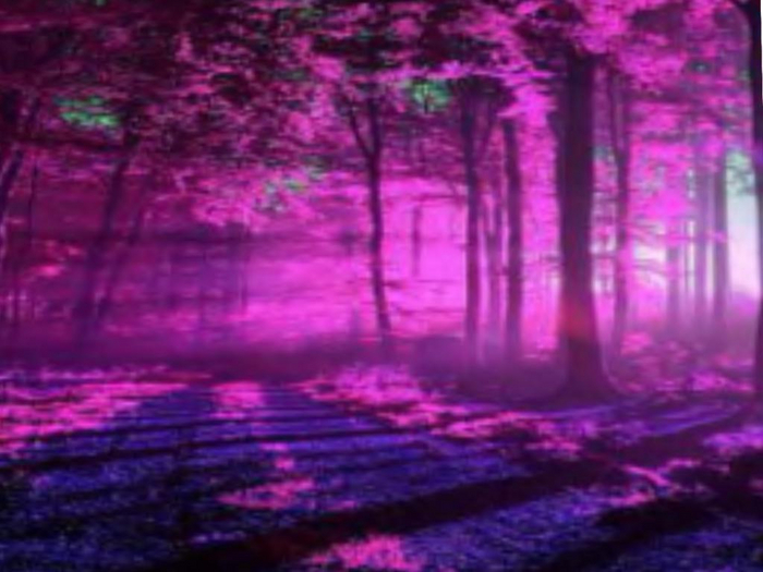 Vivid Forest Texture