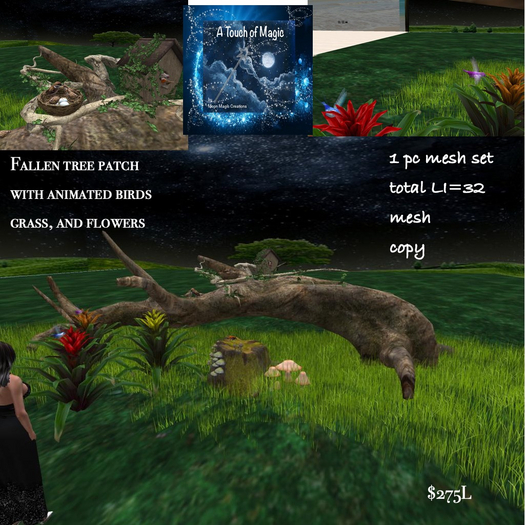 Fallen tree patch with animated Birds-Box LI=32