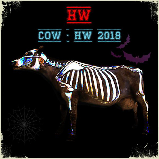 UA [FP-texture] DFS Cow - HW 2018 Black