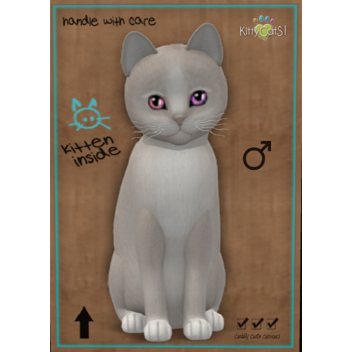KittyCatS Box - KittyCats - Genesis - Pearl II petite