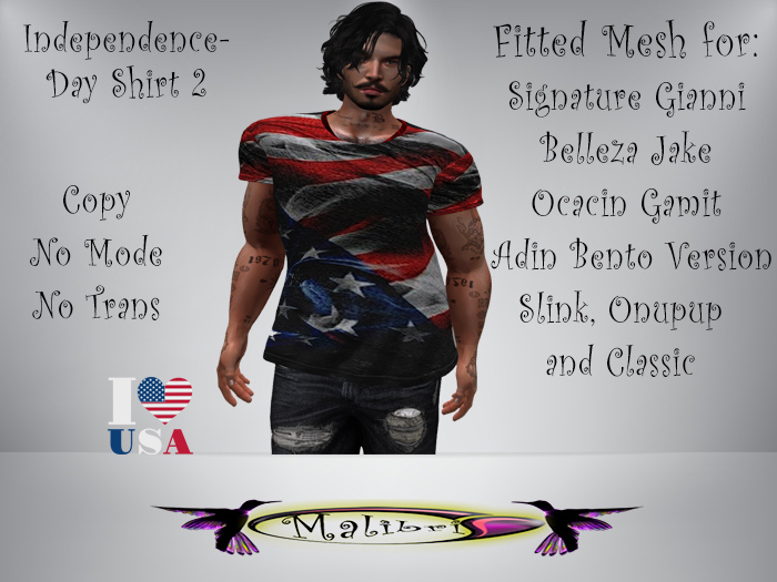 Independence Shirt 2
