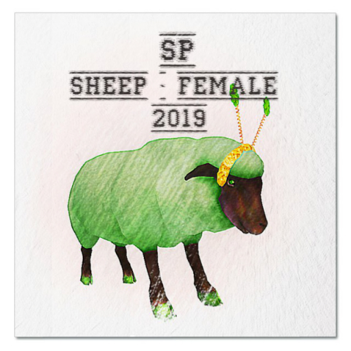 UA [FP-texture] DFS SP Sheep - Female 2019