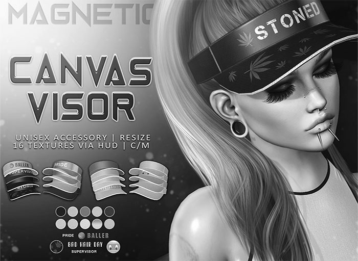 Magnetic - Canvas Visor DEMO