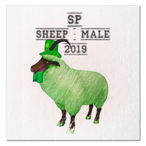 UA [FP-texture] DFS SP Sheep - Male 2019