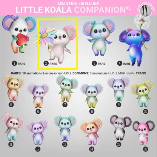 2. SEmotion Libellune Little Koala XL Companion RARE