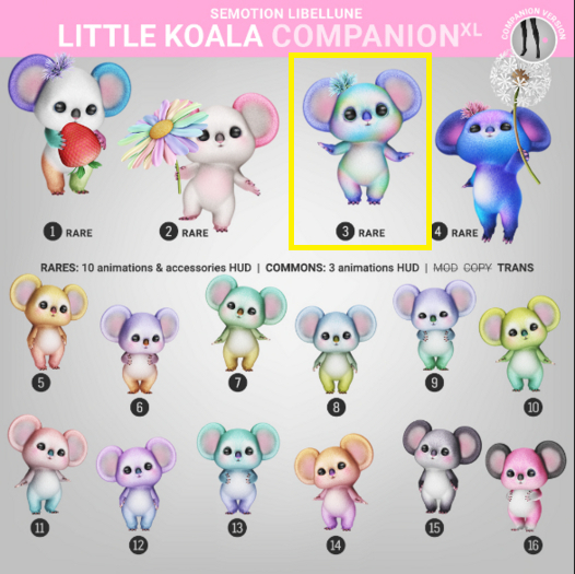3. SEmotion Libellune Little Koala XL Companion RARE