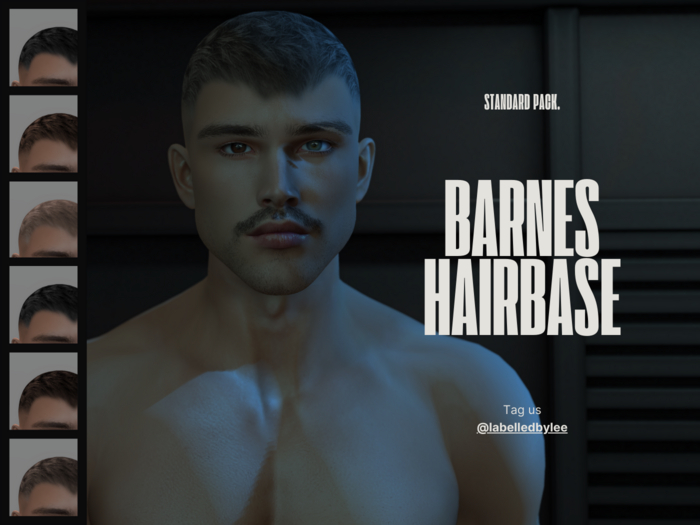 Labelled | Barnes Evox Hairbase Standard Pack