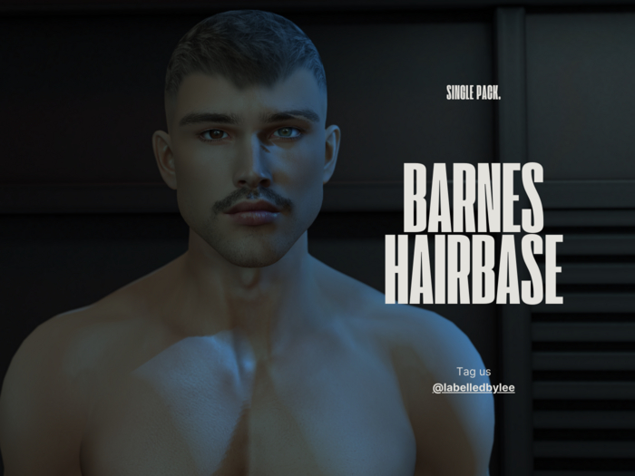 Labelled | Barnes Evox Hairbase Blue