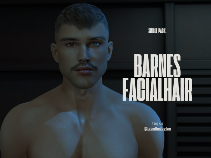 Labelled |  Barnes Evox Facialhair Medium