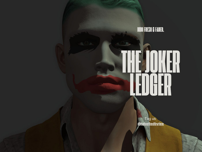 Labelled | The Joker Evox Mask Ledger