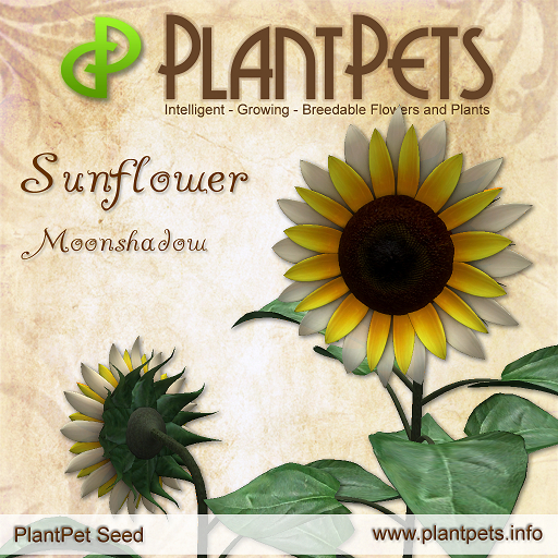PlantPet Seed [Sunflower *Moonshadow*]