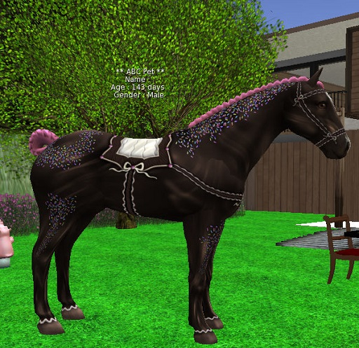 horse