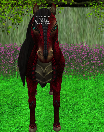 horse