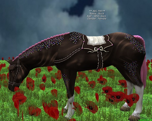 horse