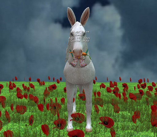 horse