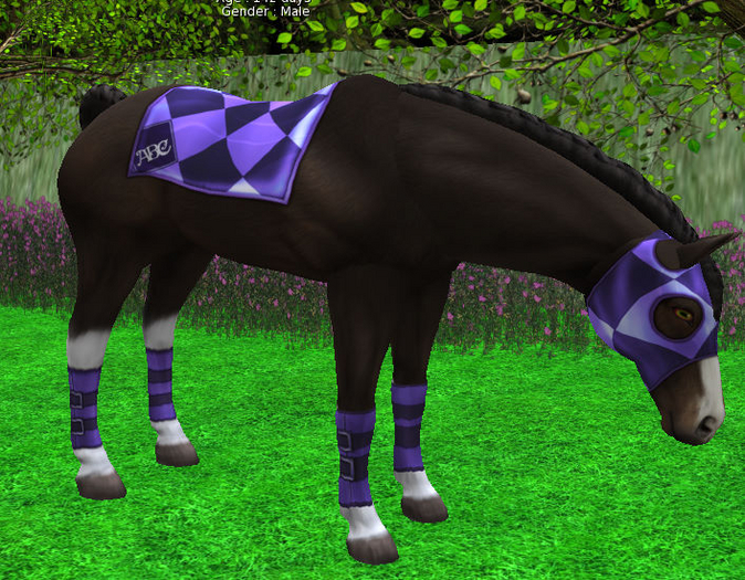 horse