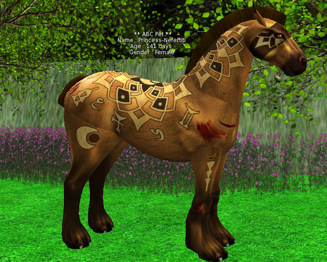 horse