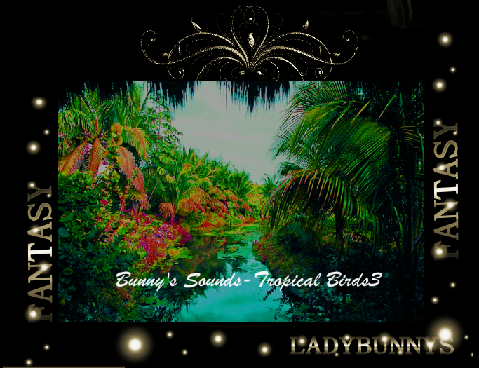 Bunny's Sounds-Tropical Birds2 Soundscape