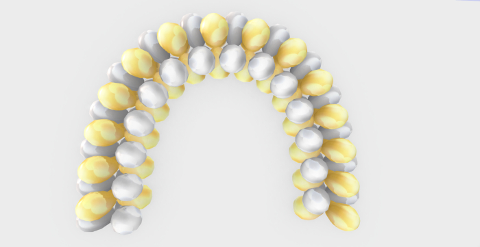 Balloon arch Gold and Silver