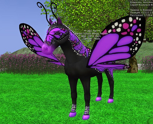 horse
