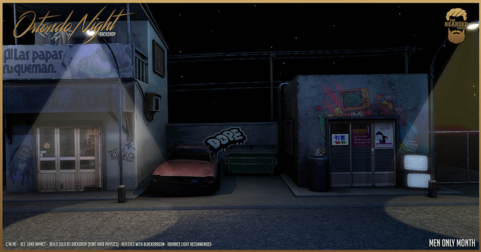 Ortondo Night Backdrop - The Bearded Guy