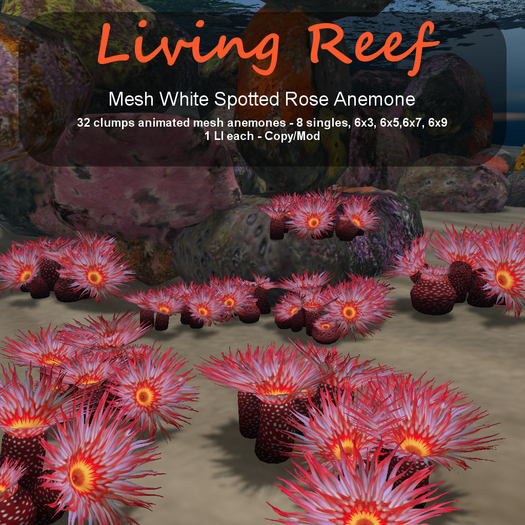 Inochi Reef - Mesh White Spotted Rose Anemone