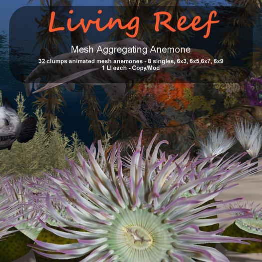Inochi Reef - Mesh Aggregating Anemone