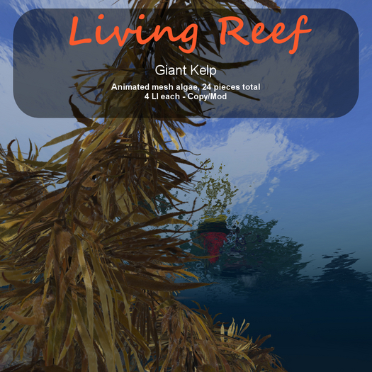 Inochi Reef : Mesh Algae "Giant Kelp"