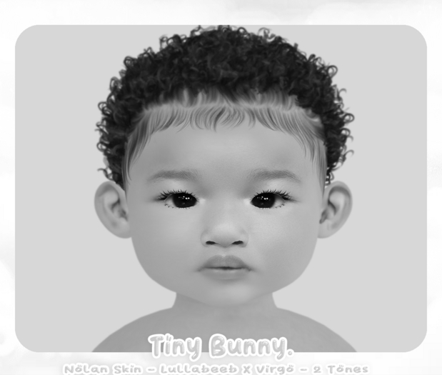 {TINY BUNNY} NOLAN DEMO